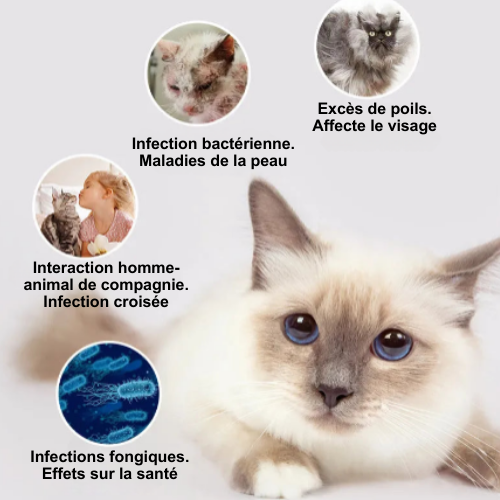CEPILLO LED — Cepillo de esterilización para un pelaje suave y saludable