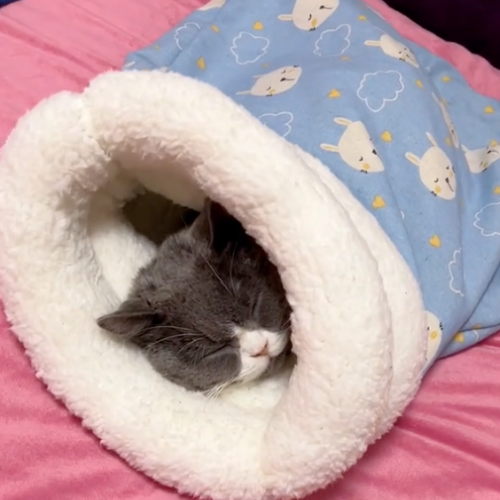 BOLSITA ZEN — Bolsita acogedora y cómoda para gatos