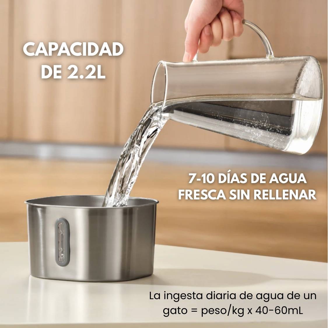 El Fuente de Veluna