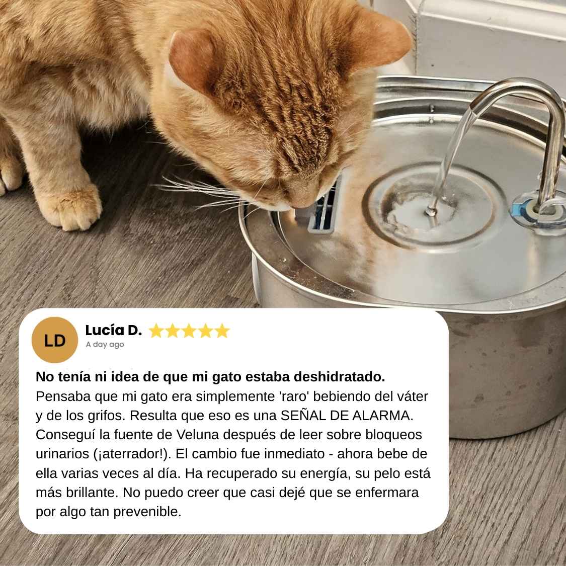 El Fuente de Veluna