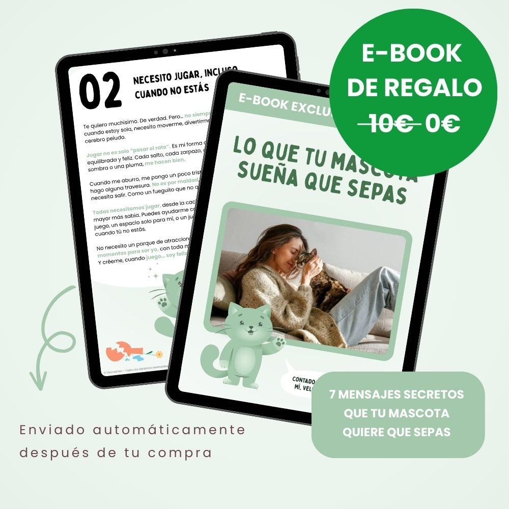 SPIRAGATO – Rascador interactivo para gatos