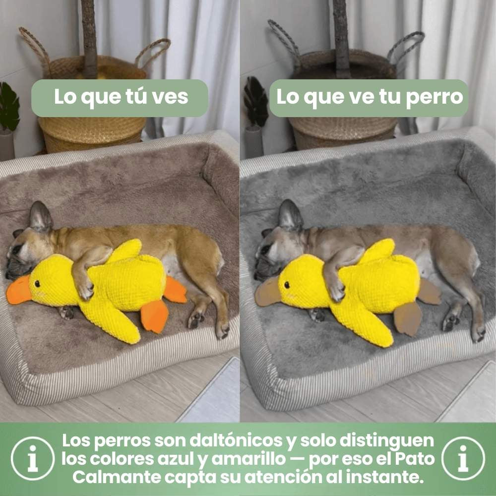 Juguete Pato Calmante de Veluna
