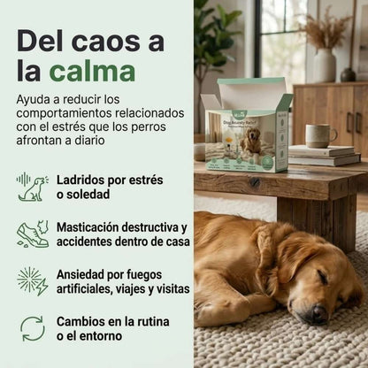 Difusor de Feromonas Veluna para el Alivio de la Ansiedad en Perros