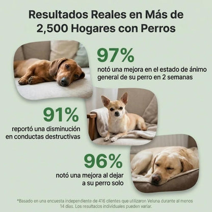Difusor de Feromonas Veluna para el Alivio de la Ansiedad en Perros