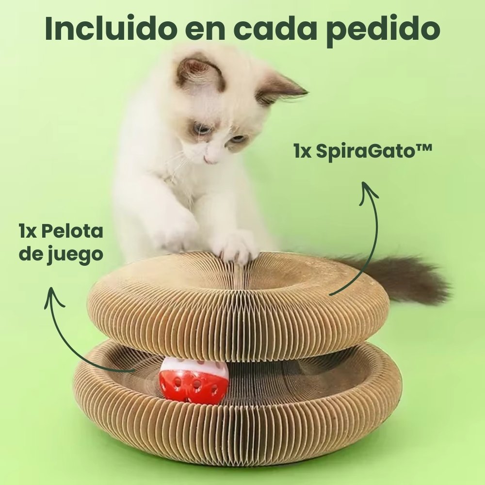 SPIRAGATO - UPSELL