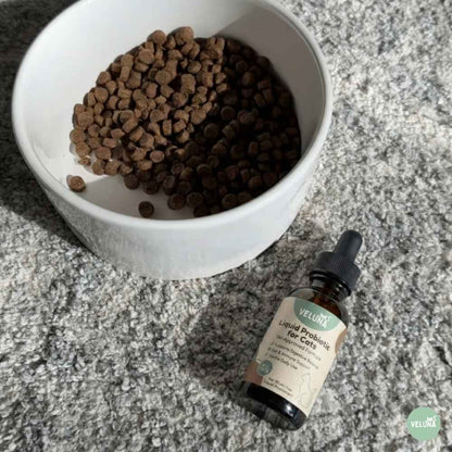 Veluna Líquido Probiótico Avanzado para Gatos
