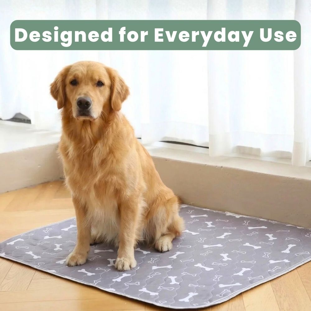 Veluna PuppyPad for Dogs