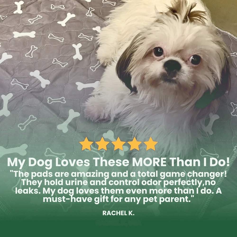 Veluna PuppyPad for Dogs