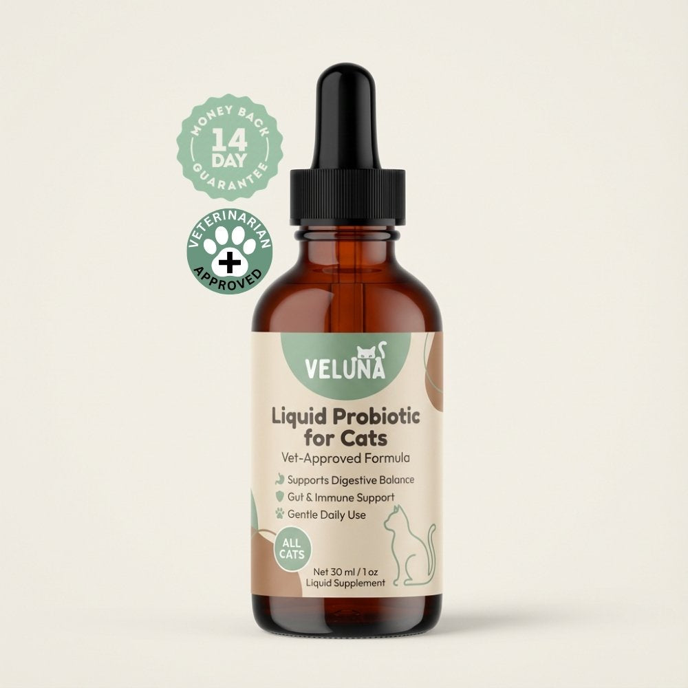 Veluna Líquido Probiótico Avanzado para Gatos