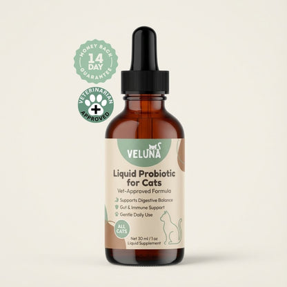 Veluna Líquido Probiótico Avanzado para Gatos