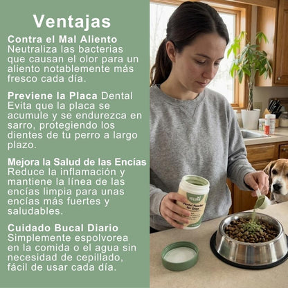 Veluna Polvo Dental para Perros