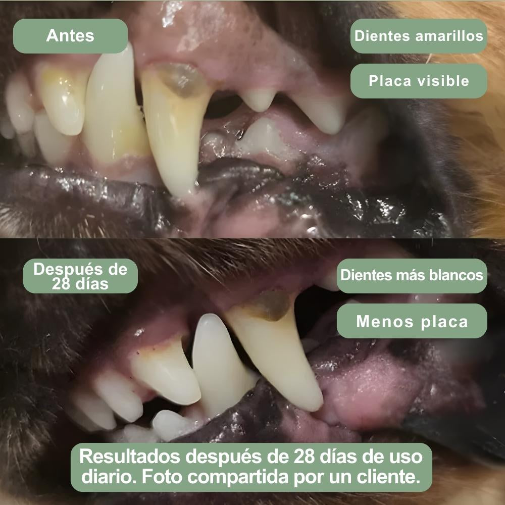 Veluna Polvo Dental para Perros