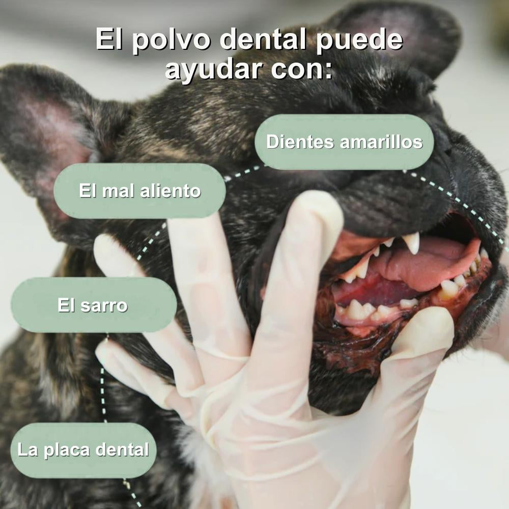 Veluna Polvo Dental para Perros