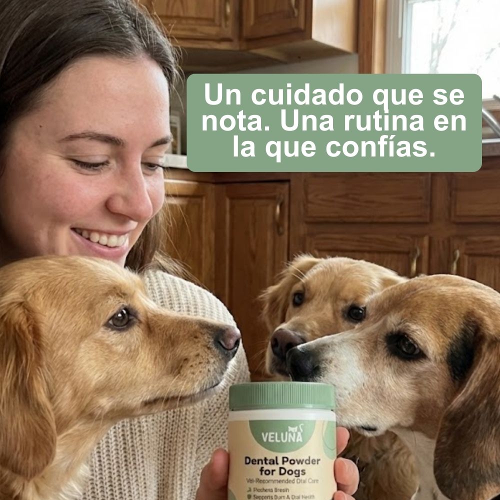 Veluna Polvo Dental para Perros