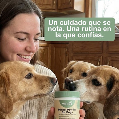 Veluna Polvo Dental para Perros