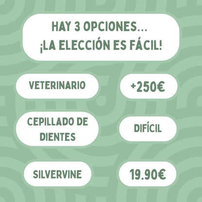 Palitos Dentales de Silvervine para Gatos