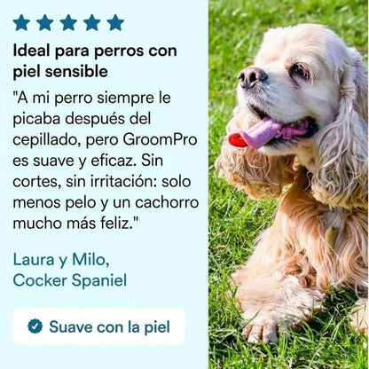 GroomPro – El Cepillo Anti-Caída de Pelo