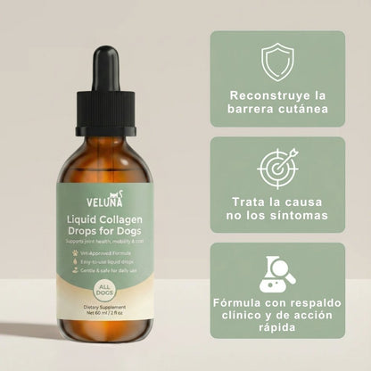Colágeno Líquido Premium Veluna para Perros