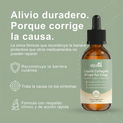 Colágeno Líquido Premium Veluna para Perros