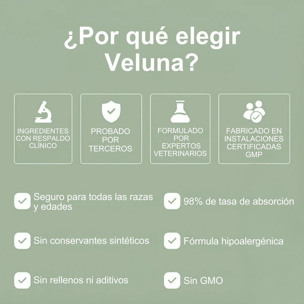 Colágeno Líquido Premium Veluna para Perros