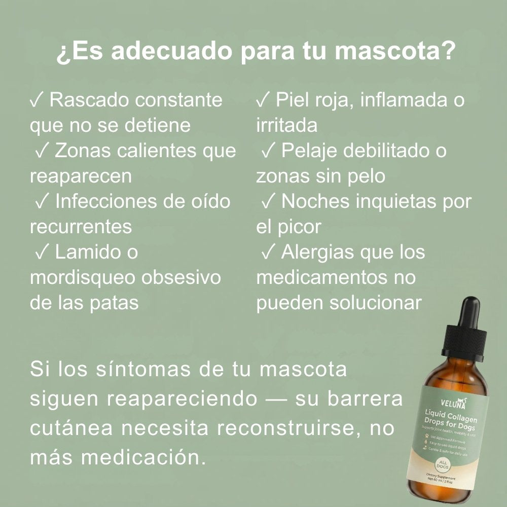 Colágeno Líquido Premium Veluna para Perros