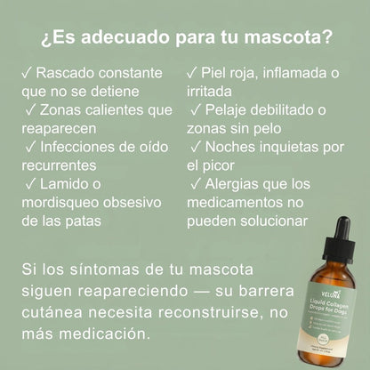 Colágeno Líquido Premium Veluna para Perros