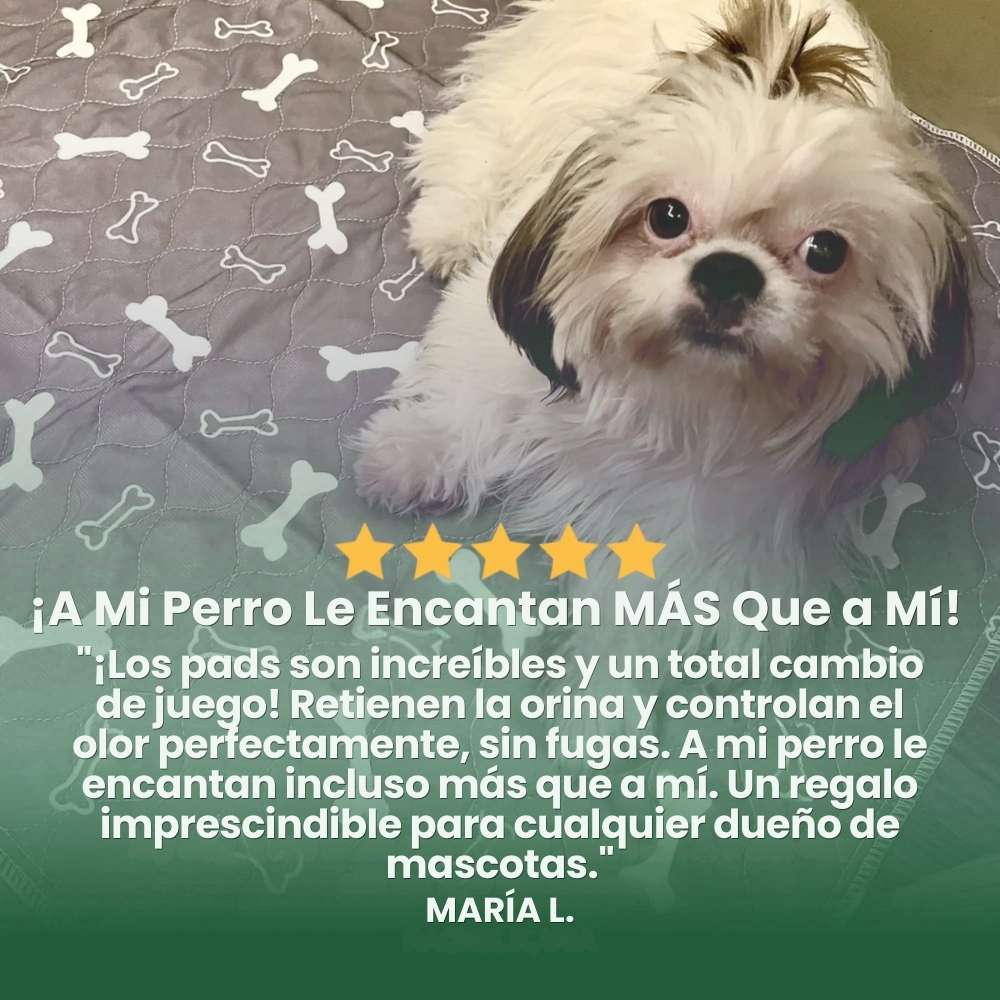 Veluna PuppyPad para Perros