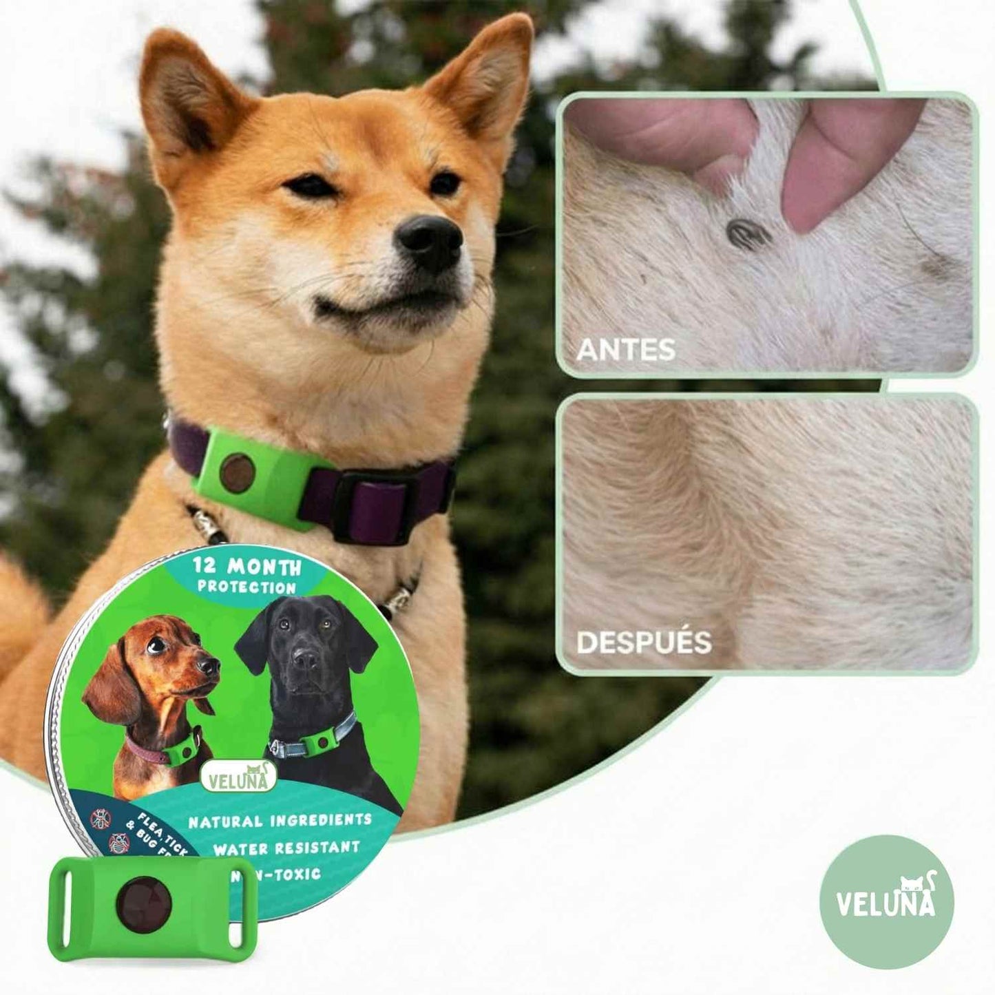 Collar Veluna -contra pulgas (protección hasta 12 meses)