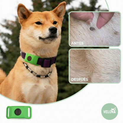 Collar Veluna -contra pulgas (protección hasta 12 meses)