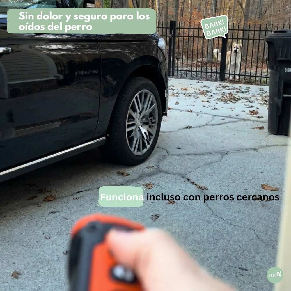 CalmPro – Entrenador ultrasónico para perros – Detén los ladridos excesivos de forma segura