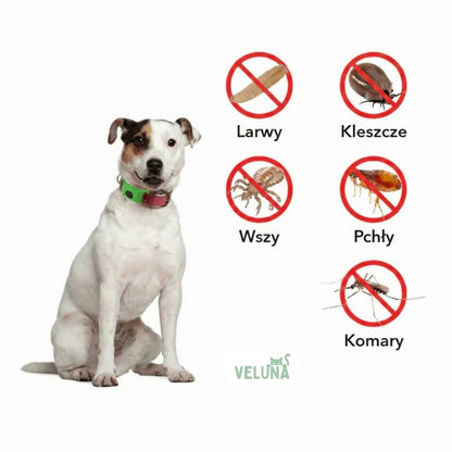 Collar Veluna -contra pulgas (protección hasta 12 meses)