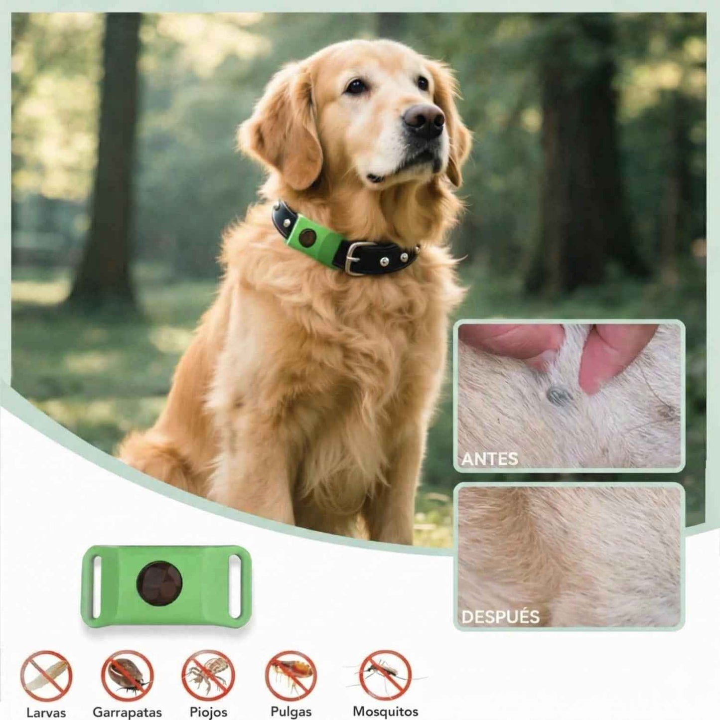 Collar Veluna -contra pulgas (protección hasta 12 meses)