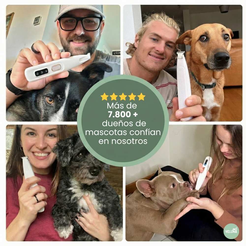 PawTrim Pro – Cuidado de Patas Sin Dolor en Segundos