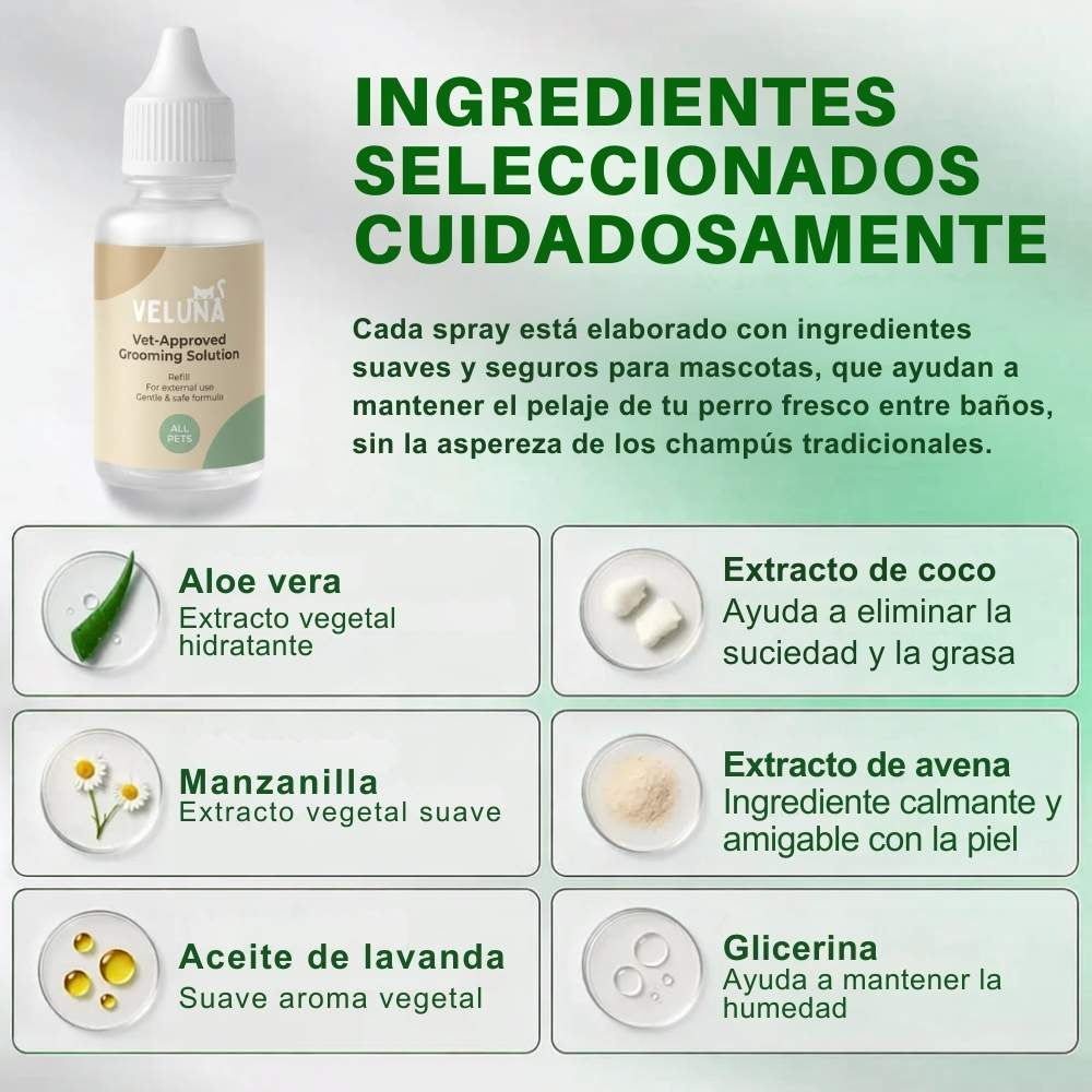 Veluna FreshBrush – Con Spray de Limpieza