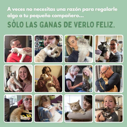 Juguete interactivo de pájaro para gatos