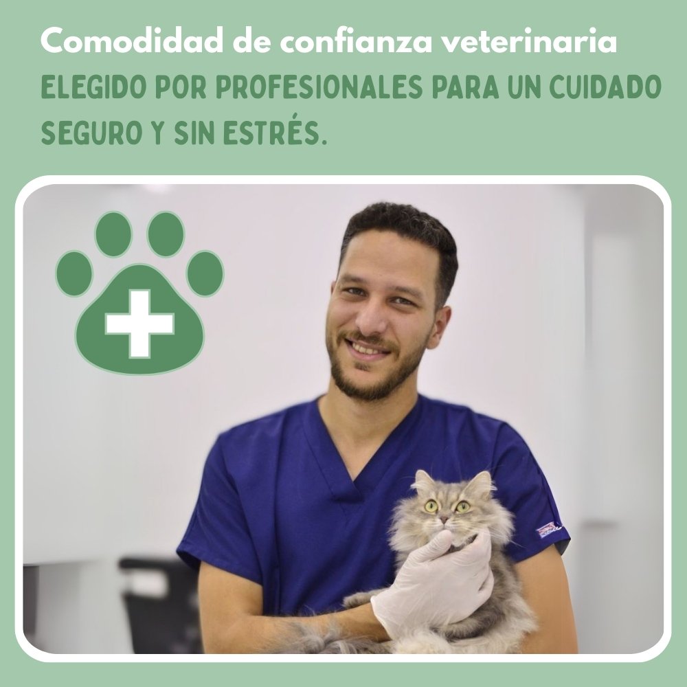 Cepillo de Vapor Multifuncional 4 en 1 para gatos