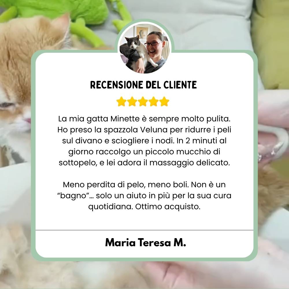 Spazzola a Vapore Multifunzione 4 in 1 per Gatti