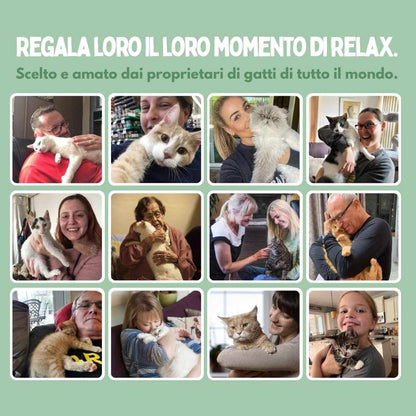 Spazzola a Vapore Multifunzione 4 in 1 per Gatti