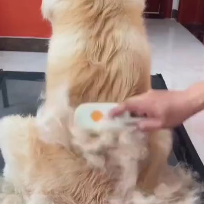 Cepillo de vapor multifuncional 4 en 1 para perros